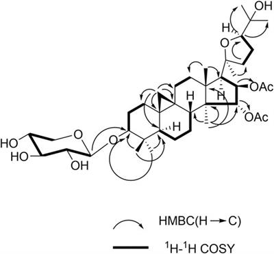 Actaticas A−G, Cycloartane Triterpenes From Actaea asiatica With Their Antiproliferative Activity